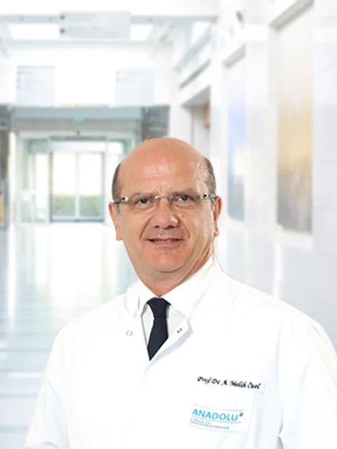 Prof. Dr. Ahmet Melih Özel