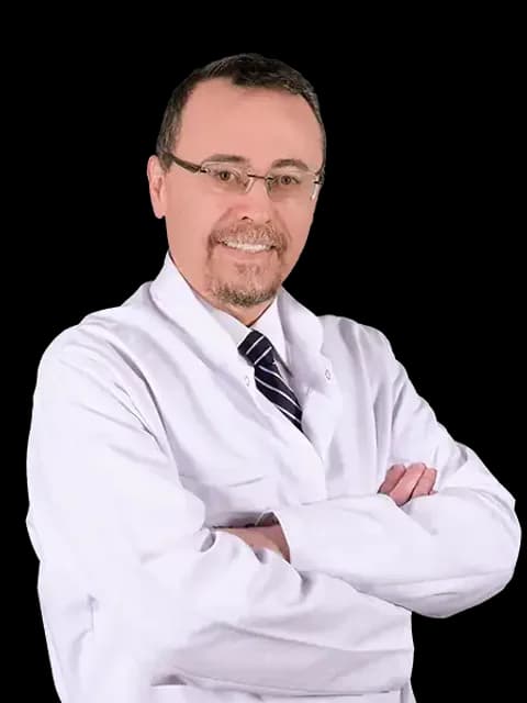 Prof. Dr. Alp Dinçer