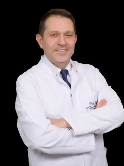 Prof. Dr. Alper Kaya