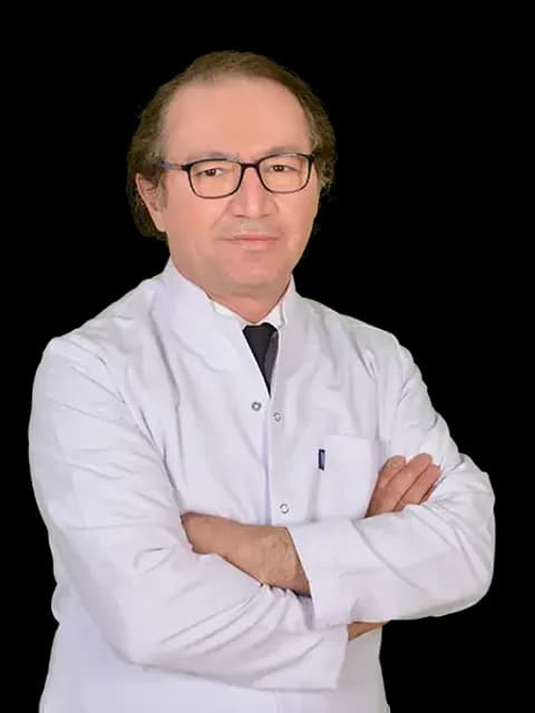 Prof. Dr. Ayhan Çevik
