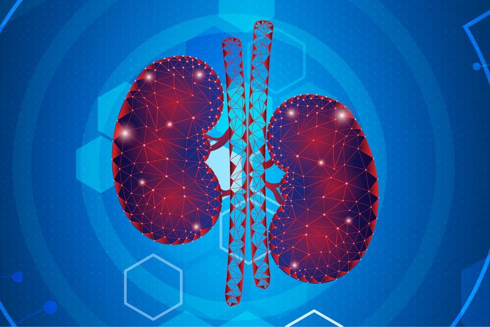 Nephrology
